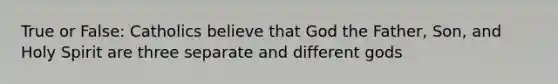 True or False: Catholics believe that God the Father, Son, and Holy Spirit are three separate and different gods