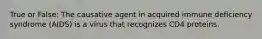 True or False: The causative agent in acquired immune deficiency syndrome (AIDS) is a virus that recognizes CD4 proteins.