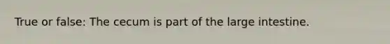 True or false: The cecum is part of the large intestine.