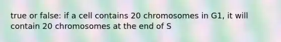 true or false: if a cell contains 20 chromosomes in G1, it will contain 20 chromosomes at the end of S