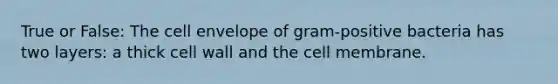 True or False: The cell envelope of gram-positive bacteria has two layers: a thick cell wall and the cell membrane.