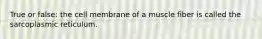 True or false: the cell membrane of a muscle fiber is called the sarcoplasmic reticulum.