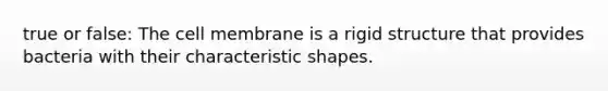 true or false: The cell membrane is a rigid structure that provides bacteria with their characteristic shapes.