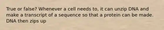 True or false? Whenever a cell needs to, it can unzip DNA and make a transcript of a sequence so that a protein can be made. DNA then zips up