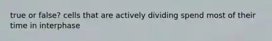 true or false? cells that are actively dividing spend most of their time in interphase