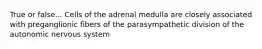 True or false... Cells of the adrenal medulla are closely associated with preganglionic fibers of the parasympathetic division of the autonomic nervous system