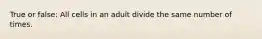 True or false: All cells in an adult divide the same number of times.