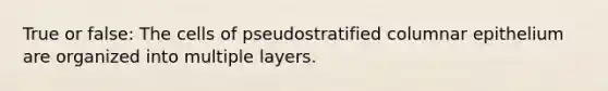 True or false: The cells of pseudostratified columnar epithelium are organized into multiple layers.