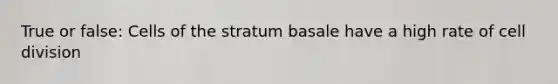 True or false: Cells of the stratum basale have a high rate of cell division