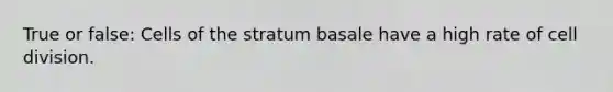 True or false: Cells of the stratum basale have a high rate of cell division.