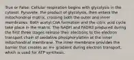 True or False: Cellular respiration begins with glycolysis in the cytosol. Pyruvate, the product of glycolysis, then enters the mitochondrial matrix, crossing both the outer and inner membranes. Both acetyl CoA formation and the citric acid cycle take place in the matrix. The NADH and FADH2 produced during the first three stages release their electrons to the electron transport chain of oxidative phosphorylation at the inner mitochondrial membrane. The inner membrane provides the barrier that creates an H+ gradient during electron transport, which is used for ATP synthesis.