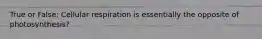 True or False: Cellular respiration is essentially the opposite of photosynthesis?