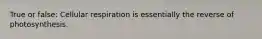 True or false: Cellular respiration is essentially the reverse of photosynthesis.