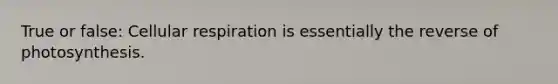 True or false: <a href='https://www.questionai.com/knowledge/k1IqNYBAJw-cellular-respiration' class='anchor-knowledge'>cellular respiration</a> is essentially the reverse of photosynthesis.