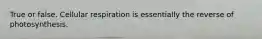 True or false. Cellular respiration is essentially the reverse of photosynthesis.