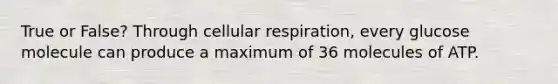 True or False? Through cellular respiration, every glucose molecule can produce a maximum of 36 molecules of ATP.