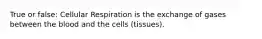 True or false: Cellular Respiration is the exchange of gases between the blood and the cells (tissues).​