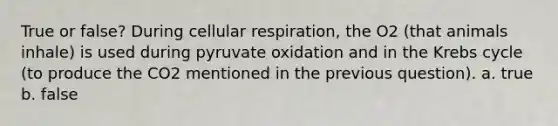 True or false? During cellular respiration, the O2 (that animals inhale) is used during pyruvate oxidation and in the Krebs cycle (to produce the CO2 mentioned in the previous question). a. true b. false