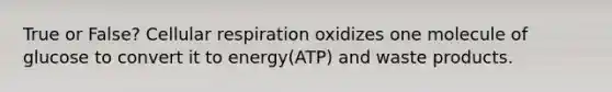 True or False? <a href='https://www.questionai.com/knowledge/k1IqNYBAJw-cellular-respiration' class='anchor-knowledge'>cellular respiration</a> oxidizes one molecule of glucose to convert it to energy(ATP) and waste products.