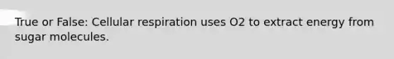 True or False: Cellular respiration uses O2 to extract energy from sugar molecules.