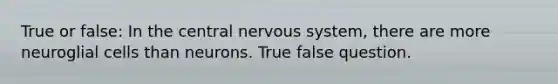 True or false: In the central nervous system, there are more neuroglial cells than neurons. True false question.