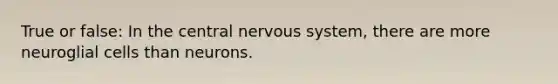 True or false: In the central nervous system, there are more neuroglial cells than neurons.