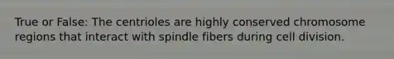 True or False: The centrioles are highly conserved chromosome regions that interact with spindle fibers during cell division.