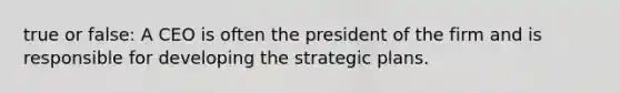 true or false: A CEO is often the president of the firm and is responsible for developing the strategic plans.