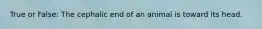 True or False: The cephalic end of an animal is toward its head.
