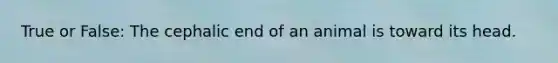 True or False: The cephalic end of an animal is toward its head.