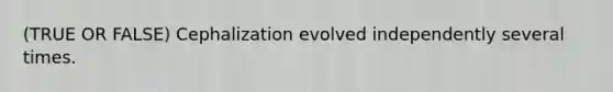 (TRUE OR FALSE) Cephalization evolved independently several times.