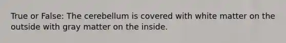 True or False: The cerebellum is covered with white matter on the outside with gray matter on the inside.