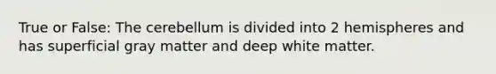 True or False: The cerebellum is divided into 2 hemispheres and has superficial gray matter and deep white matter.