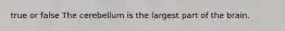 true or false The cerebellum is the largest part of the brain.