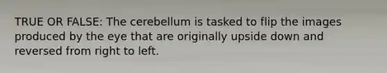TRUE OR FALSE: The cerebellum is tasked to flip the images produced by the eye that are originally upside down and reversed from right to left.