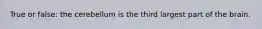 True or false: the cerebellum is the third largest part of the brain.