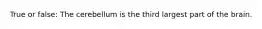 True or false: The cerebellum is the third largest part of the brain.