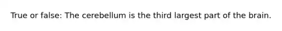 True or false: The cerebellum is the third largest part of the brain.