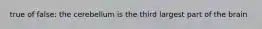 true of false: the cerebellum is the third largest part of the brain