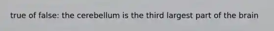 true of false: the cerebellum is the third largest part of the brain