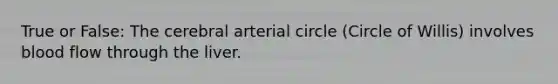 True or False: The cerebral arterial circle (Circle of Willis) involves blood flow through the liver.