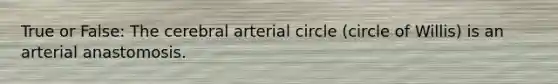 True or False: The cerebral arterial circle (circle of Willis) is an arterial anastomosis.