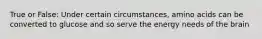True or False: Under certain circumstances, amino acids can be converted to glucose and so serve the energy needs of the brain