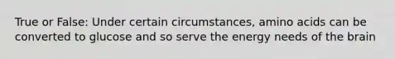 True or False: Under certain circumstances, amino acids can be converted to glucose and so serve the energy needs of the brain