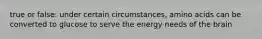 true or false: under certain circumstances, amino acids can be converted to glucose to serve the energy needs of the brain