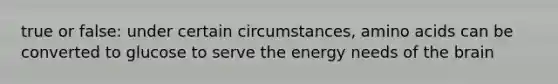 true or false: under certain circumstances, amino acids can be converted to glucose to serve the energy needs of the brain