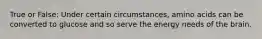 True or False: Under certain circumstances, amino acids can be converted to glucose and so serve the energy needs of the brain.