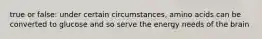 true or false: under certain circumstances, amino acids can be converted to glucose and so serve the energy needs of the brain
