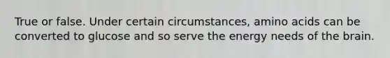 True or false. Under certain circumstances, amino acids can be converted to glucose and so serve the energy needs of the brain.