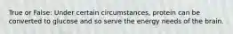 True or False: Under certain circumstances, protein can be converted to glucose and so serve the energy needs of the brain.